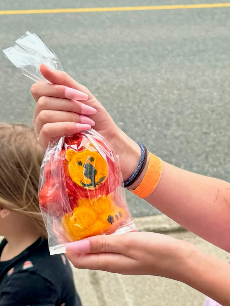 ellënoire Paint Your Own Bath Bomb Kit-Bath Bombs-ellënoire body, bath fragrance & curly hair